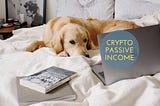 Earn your passive income by staking cryptocurrency