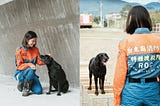 國際搜救犬日 | International Search & Rescue Dog Day