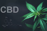 What to Know About CBD and MS