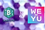WEYU — Our Investment Motivation