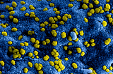 How coronavirus is affecting university campuses