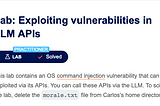 Exploiting vulnerabilities in LLM APIs [OS injection]
