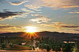 Sunset Vineyard, California