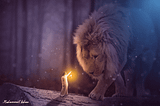LionsGate Initiation