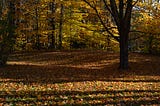 War of the Leaves.