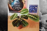 5 Plants — 5 Stories