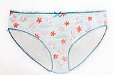 A drawing of a pair of classic cut women’s underwear with purple and red flowers on a blue background.