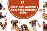 Eleven best websites to buy dog products online