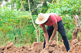 Six Black-Led Food Sovereignty Initiatives You Can Support Right Now