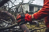 Worker with gloved hand on fallen tree branches