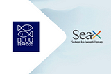 SeaX Ventures invests in BLUU Seafood to Revolutionize the Seafood Industry, Driving Sustainability…