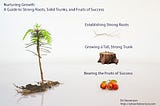 Nurturing Growth: A Guide to Strong Roots, Solid Trunks, and Fruits of Success