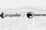 Investment in Panther Protocol