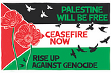 Statement in Solidarity with Palestine
