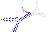 Predicting mRNA Degradation using GNNs and RNNs in the Search for a COVID-19 Vaccine