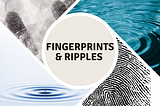 Fingerprints & Ripples