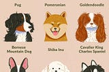 Dog Breeds Classification With CNN Transfer Learning