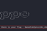 TOPPO Walkthrough: Vulnhub