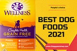 What Are The Best Dog Food Options in 2021?