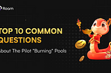 Top 10 Common Questions about the Pilot “Burning” Pools