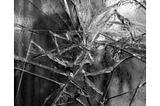 A broken glass for a monster