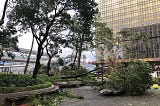 Photo by Author — Typhoon Mangkhut, Hong Kong