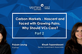 Carbon Markets — Nascent and faced with Growing Pains, Why should VCs Care? (Part 2)