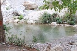 A serene pond. There is a tree at the far left. A few small branches could be see at the right corner, dangling from the top. At first glance, it seems like an artifiicial pond, but you had to be there