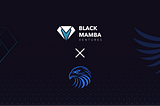 Black Mamba Ventures x FalconSwap: Strategic Partnership