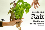 An Introduction to Raiz Vertical Farms The Farms of the Future.