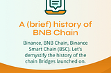 A (Brief) History of BNB Chain