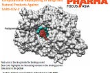 Computational Repurposing of Drugs and Natural Products Against SARS-CoV-2