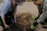From Swords to Plowshares: The Prophetic Role of Armies in a Regenerative Future