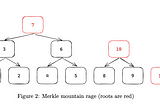 Onchain computation proofs for EVM