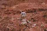 Mimpi Setelah Membaca Biografi Setan
