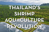 Thailand’s Shrimp Aquaculture Revolution
