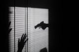 Sonya Massey and the Recurrence of Violence Against Black Bodies
