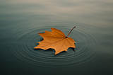 LIVING THROUGH CHALLENGES WITHOUT WORRY: