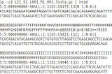 Counting sequences in Fasta/Fastq files