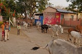 I lived in a remote Indian village for three weeks.