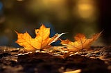 Autumn Leaf