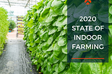 Artemis Releases 2020 State of Indoor Farming Report