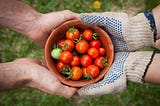 bowl on tomatos freshly picked up