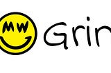 Grin — The Birth of a New Asset
