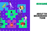About The MicroBuddies™ Team