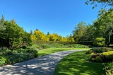 A beautiful park in daylight with lots of trees, plants, and greenery.