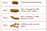 Pic 1. Bristol Stool Chart (Lewis and Heaton, 1997)