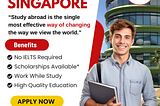 Ready to explore the dynamic city-state of Singapore for your education? 📚