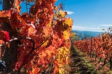 8 WEEKEND GOURMET D’AUTUNNO