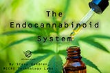 What is the Endocannabinoid system (ECS) anyway?